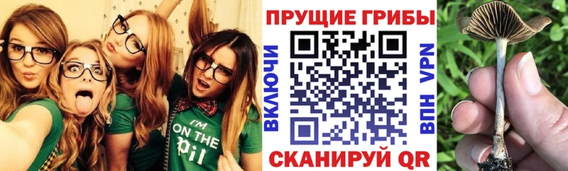 Купить закладки  Когалым  Галлюциногенные грибы мицелий 